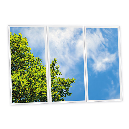 Pack 3 Dalles LED Imprimées - Tree - 1200x600mm - Usinée en France by DELITECH