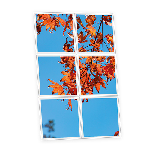 Pack 6 Dalles LED Imprimées - Autumn - 600x600mm - Usinée en France by DELITECH