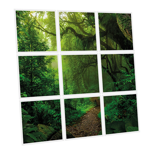 Pack 9 Dalles LED Imprimées - Forest - 600x600mm - Usinée en France by DELITECH