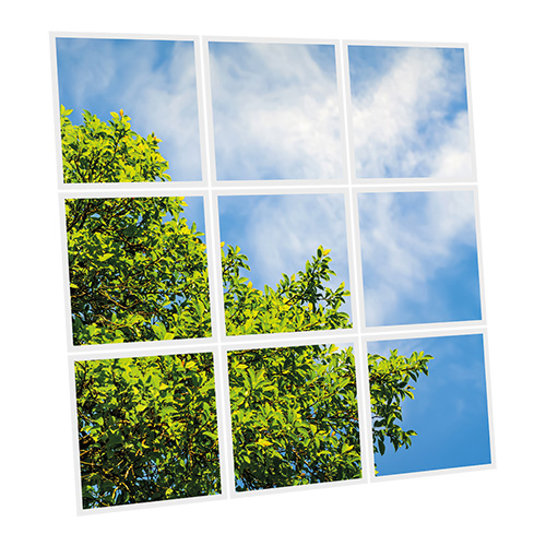 Pack 9 Dalles LED Imprimées - Tree - 600x600mm - Usinée en France by DELITECH