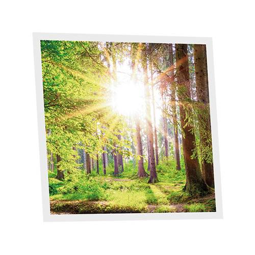 Pack 1 Dalle LED Imprimée - Woods - 600x600mm - Usinée en France by DELITECH