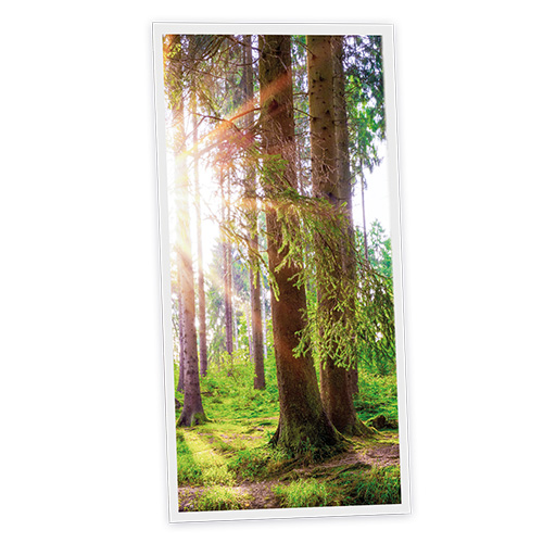 Pack 1 Dalle LED Imprimée verticale - Woods - 1200x600mm - Usinée en France by DELITECH