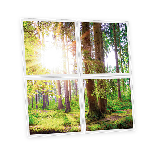 Pack 4 Dalles LED Imprimées - Woods - 600x600mm - Usinée en France by DELITECH