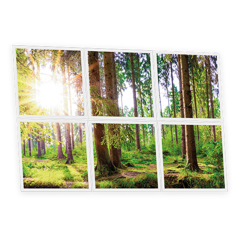 Pack 6 Dalles LED Imprimées - Woods - 600x600mm - Usinée en France by DELITECH