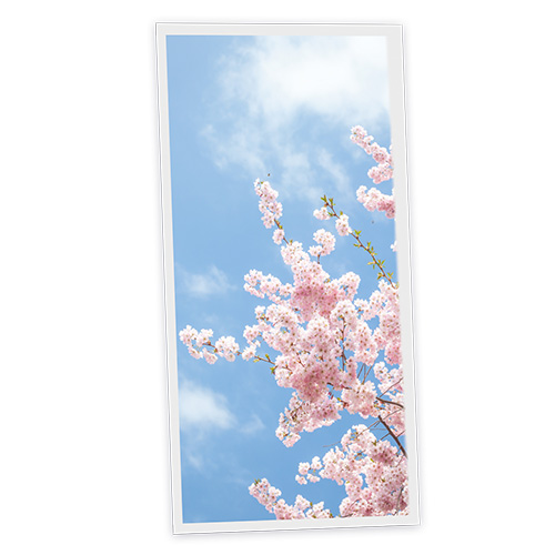 Pack 1 Dalle LED Imprimée verticale - Tokyo - 1200x600mm - Usinée en France by DELITECH 