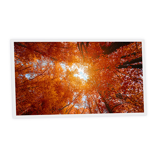 Pack 1 Dalle LED Imprimée horizontale - Red tree - 1200x600mm - Usinée en France by DELITECH