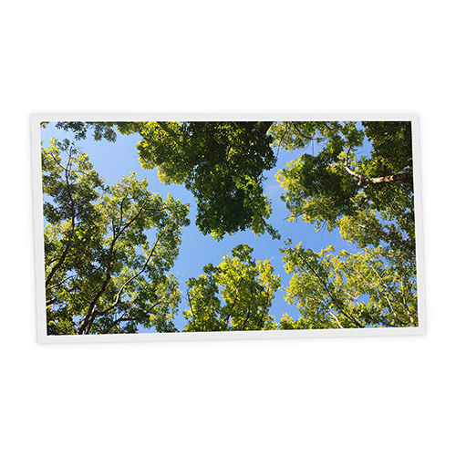 Pack 1 Dalle LED Imprimée horizontale - Summer - 1200x600mm - Usinée en France by DELITECH