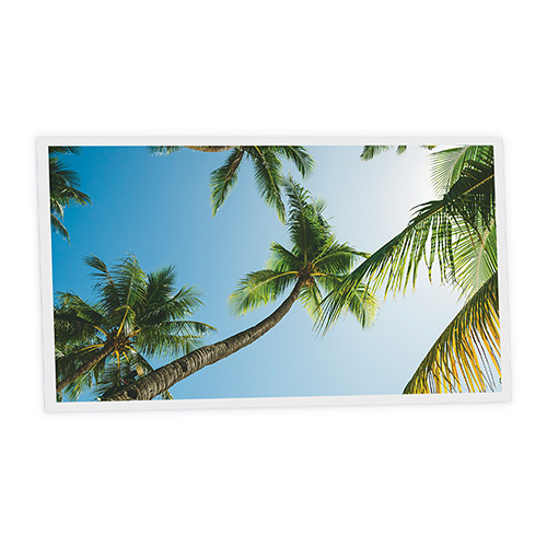 Pack 1 Dalle LED Imprimée horizontale - Palm - 1200x600mm - Usinée en France by DELITECH