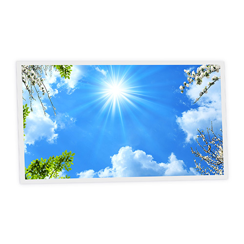 Pack 1 Dalle LED Imprimée horizontale - Spring - 1200x600mm - Usinée en France by DELITECH