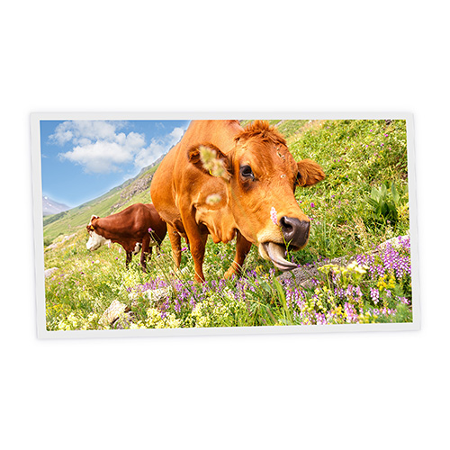 Pack 1 Dalle LED Imprimée horizontale - Meadow - 1200x600mm - Usinée en France by DELITECH