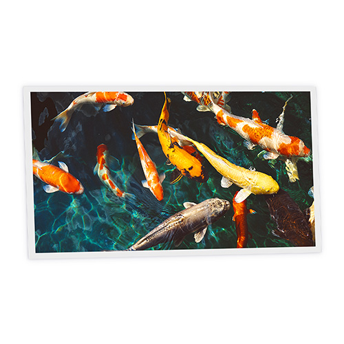 Pack 1 Dalle LED Imprimée horizontale - Fish - 1200x600mm - Usinée en France by DELITECH