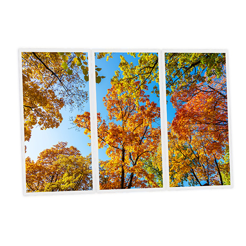 Pack 3 Dalles LED Imprimées - Fall - 1200x600mm - Usinée en France by DELITECH