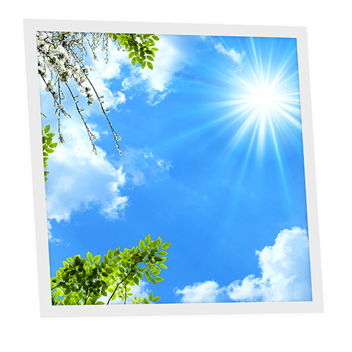 Pack 1 Dalle LED Imprimée - Spring - 600x600mm - Usinée en France by DELITECH