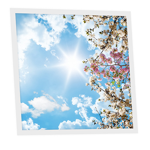 Pack 1 Dalle LED Imprimée - Flowers - 600x600mm - Usinée en France by DELITECH