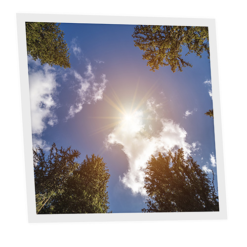 Pack 1 Dalle LED Imprimée - Day - 600x600mm - Usinée en France by DELITECH