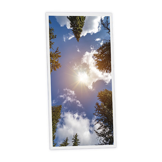 Pack 1 Dalle LED Imprimée verticale - Day - 1200x600mm - Usinée en France by DELITECH