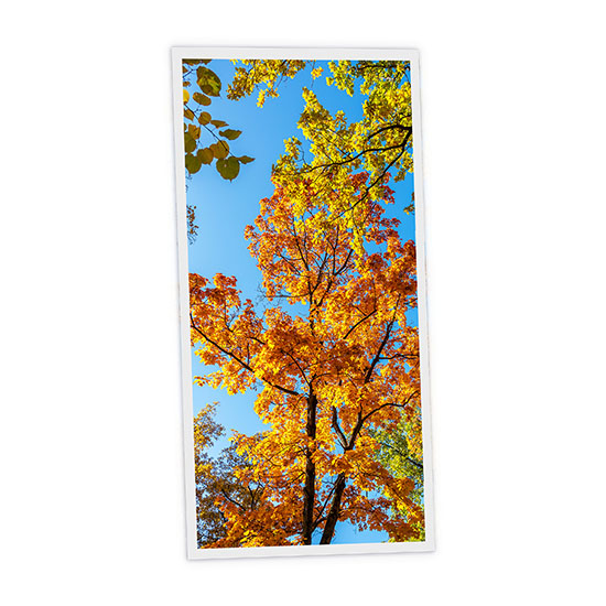 Pack 1 Dalle LED Imprimée verticale - Fall - 1200x600mm - Usinée en France by DELITECH