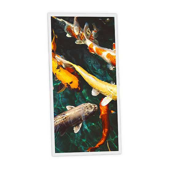 Pack 1 Dalle LED Imprimée verticale - Fish - 1200x600mm - Usinée en France by DELITECH