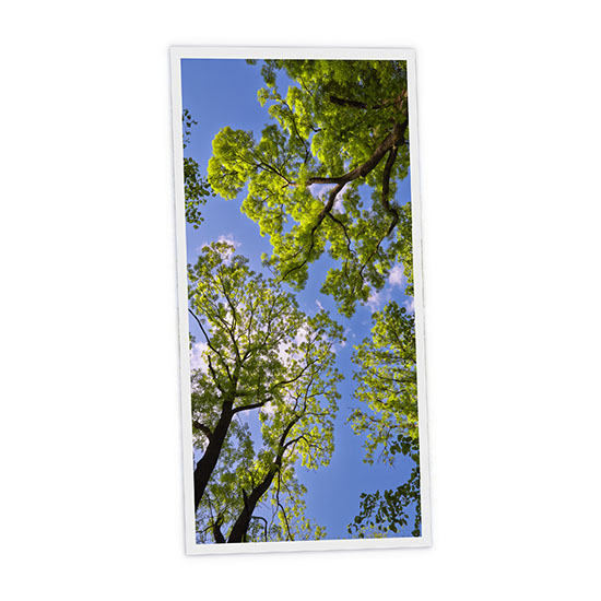 Pack 1 Dalle LED Imprimée verticale - Jaipur - 1200x600mm - Usinée en France by DELITECH