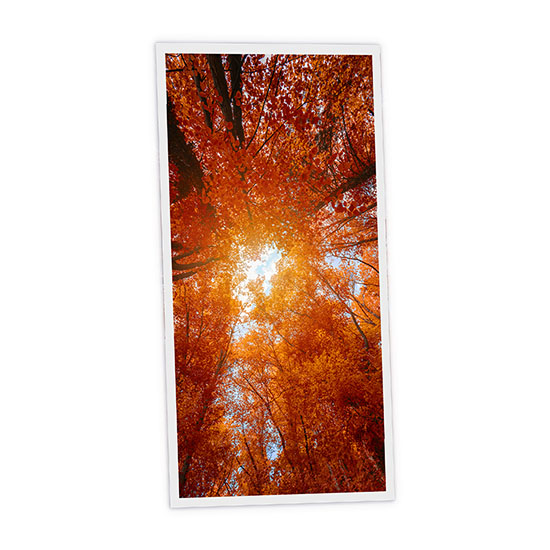 Pack 1 Dalle LED Imprimée verticale - Red tree - 1200x600mm - Usinée en France by DELITECH