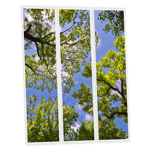 Pack 3 Dalles LED Imprimées - Jaipur - 1200x300mm - Usinée en France by DELITECH