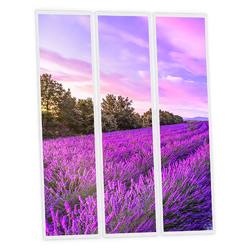 Pack 3 Dalles LED Imprimées - Lavender - 1200x300mm - Usinée en France by DELITECH