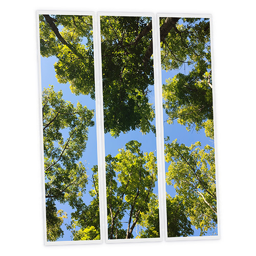 Pack 3 Dalles LED Imprimées - Summer - 1200x300mm - Usinée en France by DELITECH