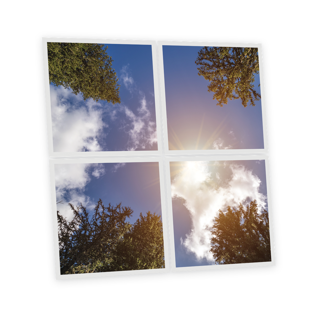 Pack 4 Dalles LED Imprimées - Day - 600x600mm - Usinée en France by DELITECH