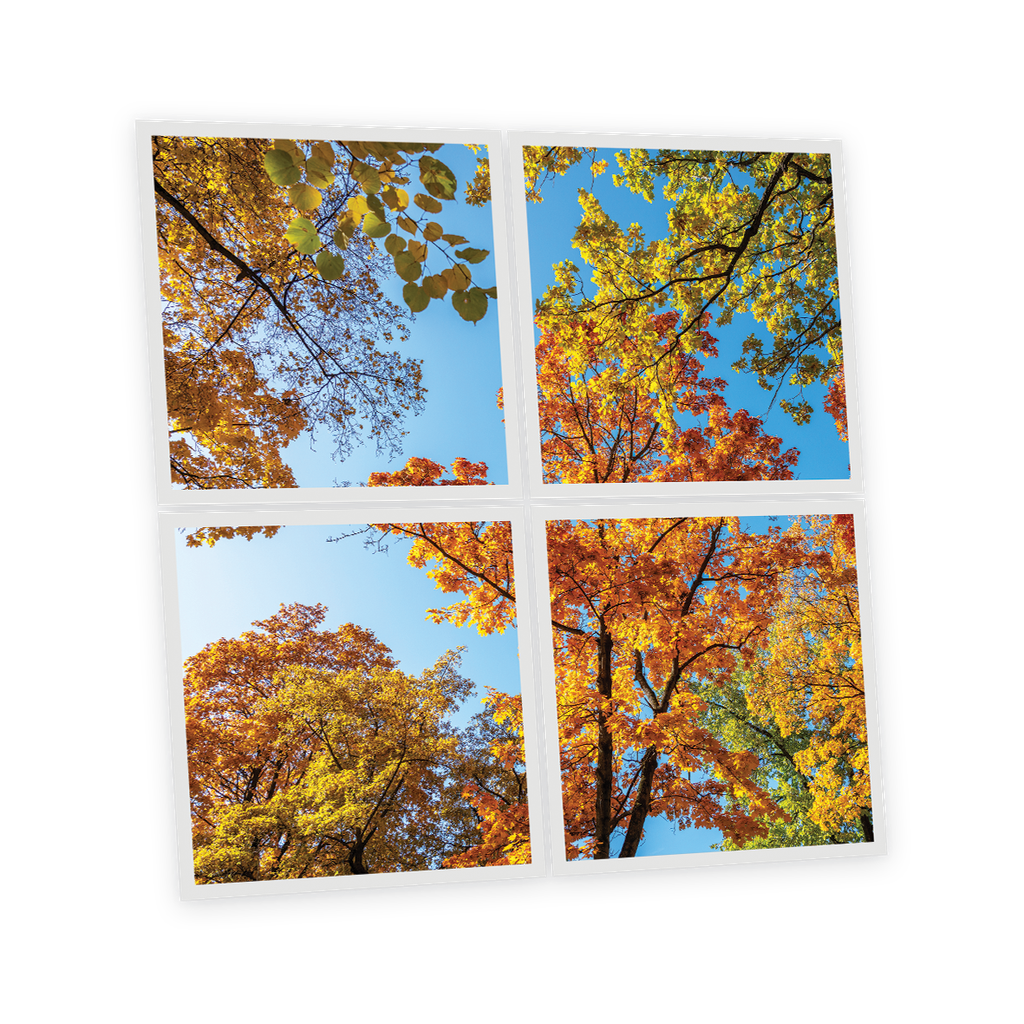 Pack 4 Dalles LED Imprimées - Fall - 600x600mm - Usinée en France by DELITECH