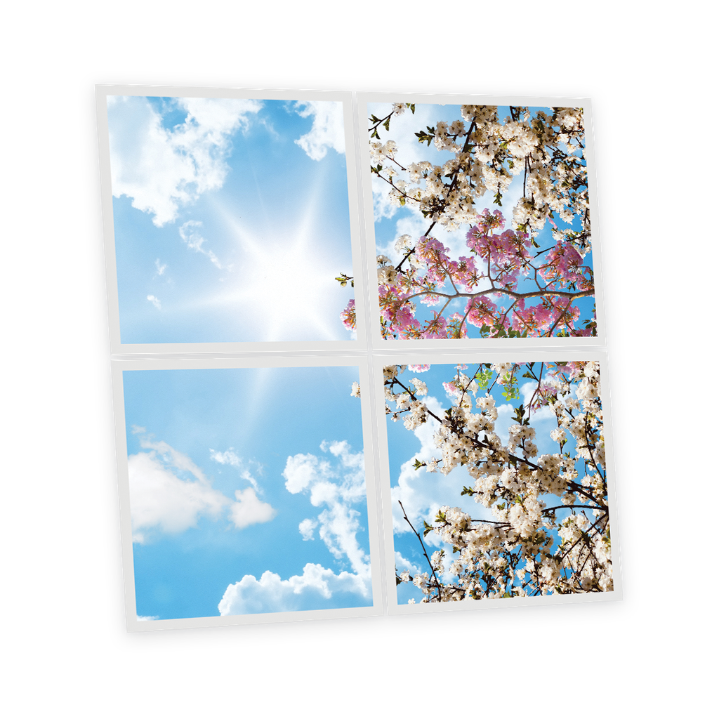 Pack 4 Dalles LED Imprimées - Flowers - 600x600mm - Usinée en France by DELITECH