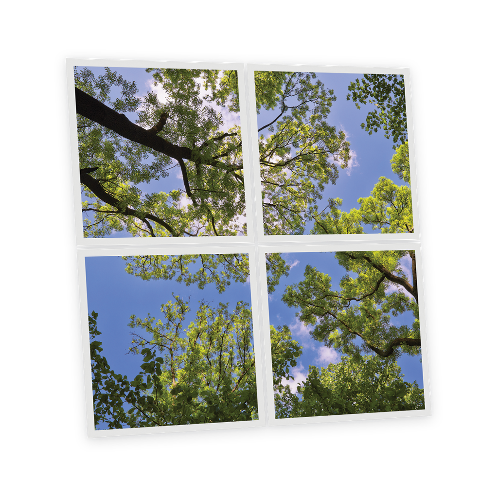 Pack 4 Dalles LED Imprimées - Jaipur - 600x600mm - Usinée en France by DELITECH