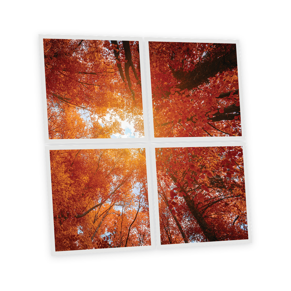 Pack 4 Dalles LED Imprimées - Red tree - 600x600mm - Usinée en France by DELITECH