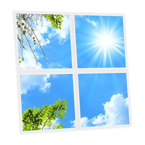 Pack 4 Dalles LED Imprimées - Spring - 600x600mm - Usinée en France by DELITECH