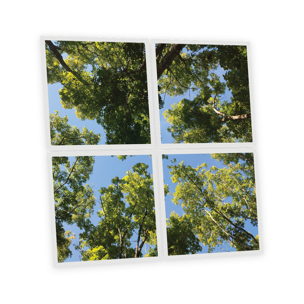 Pack 4 Dalles LED Imprimées - Summer - 600x600mm - Usinée en France by DELITECH