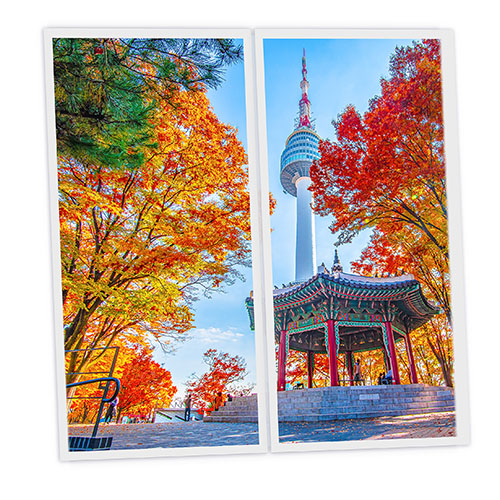 Pack 2 Dalles LED Imprimées - Seoul - 1200x600mm - Usinée en France by DELITECH