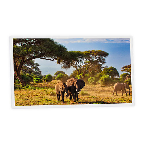 Pack 1 Dalle LED Imprimée horizontale - Elephant - 1200x600mm - Usinée en France by DELITECH