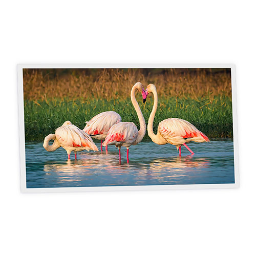 Pack 1 Dalle LED Imprimée horizontale - Flamingo - 1200x600mm - Usinée en France by DELITECH