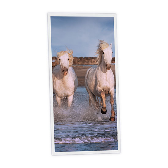 Pack 1 Dalle LED Imprimée verticale - Horse - 1200x600mm - Usinée en France by DELITECH