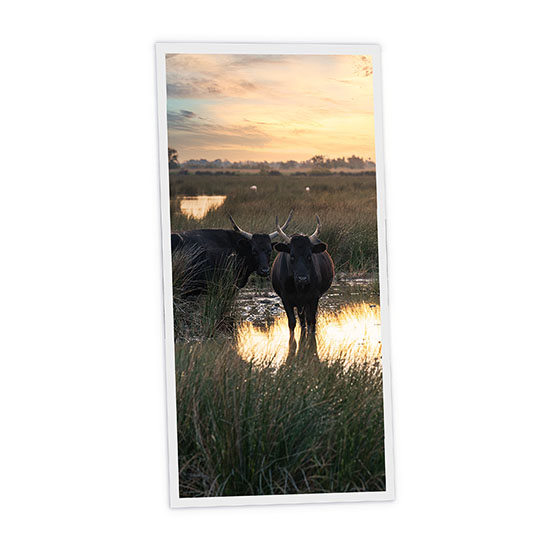 Pack 1 Dalle LED Imprimée verticale - Bull - 1200x600mm - Usinée en France by DELITECH