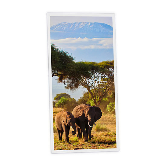 Pack 1 Dalle LED Imprimée verticale - Elephant - 1200x600mm - Usinée en France by DELITECH