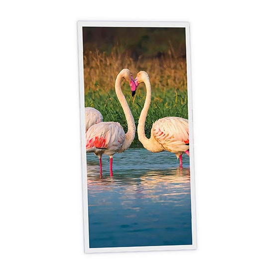Pack 1 Dalle LED Imprimée verticale - Flamingo - 1200x600mm - Usinée en France by DELITECH