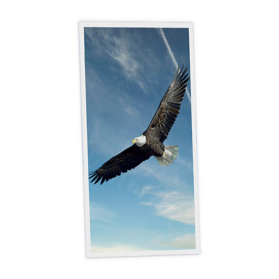Pack 1 Dalle LED Imprimée verticale - Eagle - 1200x600mm - Usinée en France by DELITECH