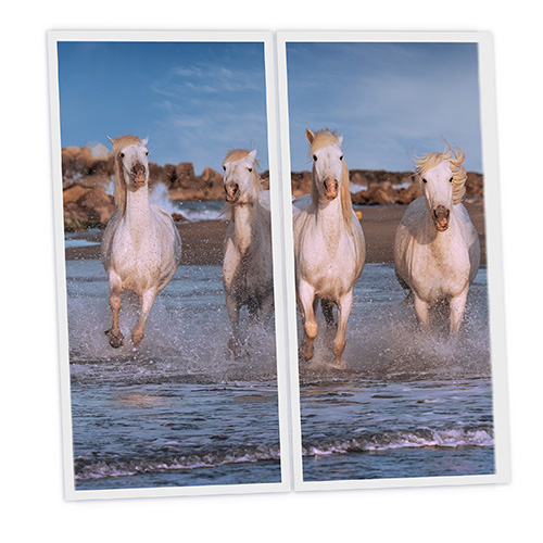 Pack 2 Dalles LED Imprimées - Horse - 1200x600mm - Usinée en France by DELITECH