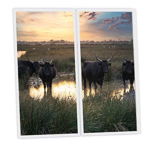 Pack 2 Dalles LED Imprimées - Bull - 1200x600mm - Usinée en France by DELITECH