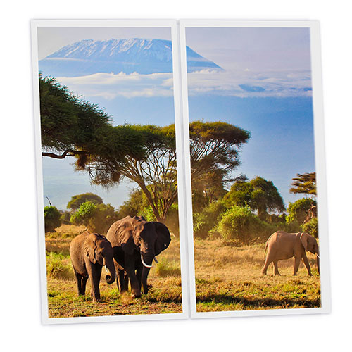 Pack 2 Dalles LED Imprimées - Elephant - 1200x600mm - Usinée en France by DELITECH