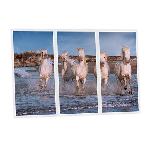 Pack 3 Dalles LED Imprimées - Horse - 1200x600mm - Usinée en France by DELITECH