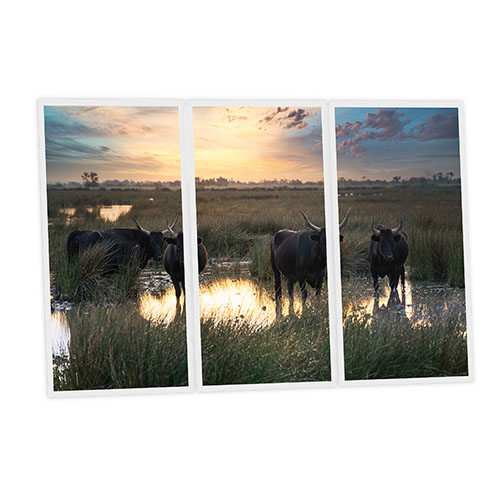 Pack 3 Dalles LED Imprimées - Bull - 1200x600mm - Usinée en France by DELITECH