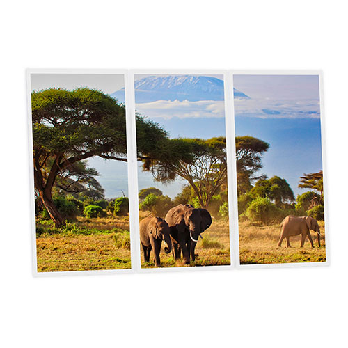 Pack 3 Dalles LED Imprimées - Elephant - 1200x600mm - Usinée en France by DELITECH