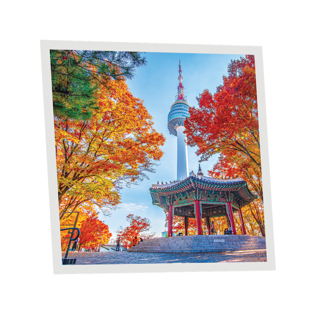 Pack 1 Dalle LED Imprimée - Seoul - 600x600mm - Usinée en France by DELITECH