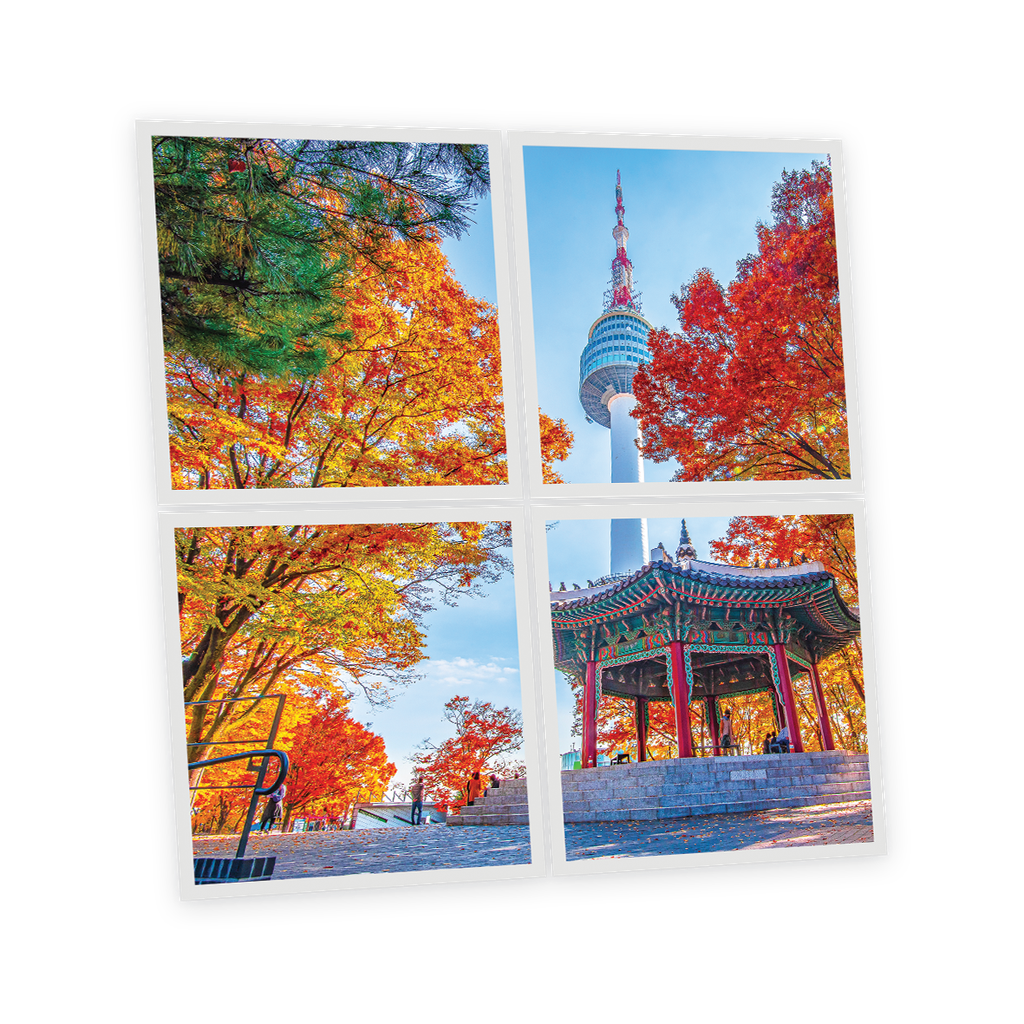 Pack 4 Dalles LED Imprimées - Seoul - 600x600mm - Usinée en France by DELITECH